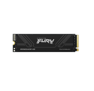 Disco SSD M.2 KINGSTON FURY RENEGADE 1000 GB NVMe GEN5 PCIe 5.0 (9481)