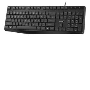TECLADO GENIUS KB-117 USB NEGRO