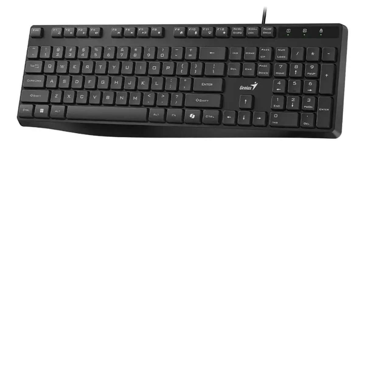TECLADO GENIUS KB-117 USB NEGRO