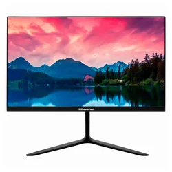 Monitor darkFlash G24E de 23,8" Full HD 60 Hz HDMI VGA - Negro