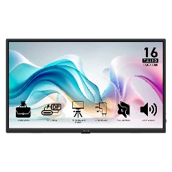 Monitor portátil MSI PRO MP165 E6 de 15,6" Full HD 60 Hz USB-C - Gris