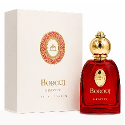 Perfume unisex Dumont Borouj Gravity Eau de Parfum 85 ml